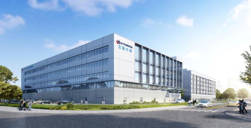 從龍圖光罩到環境科技 中國半導體產業自主可控的雙輪驅動